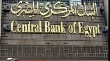 مؤشرات اقتصادية قوية.. خبير يتوقع استقرار سعر الصرف في مصر وتحسن الأداء العام